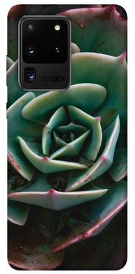 Чохол itsPrint Ехеверія для Samsung Galaxy S20 Ultra