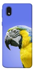 Чехол itsPrint Попугай ара для Samsung Galaxy M01 Core / A01 Core