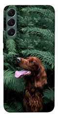 Чехол itsPrint Собака в зелени для Samsung Galaxy S22+