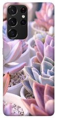 Чехол itsPrint Эхеверия 2 для Samsung Galaxy S21 Ultra
