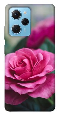 Чохол itsPrint Троянда у саду для Xiaomi Poco X5 Pro